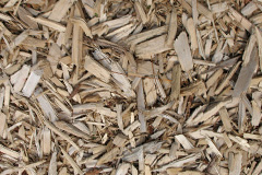 biomass boilers Theydon Garnon